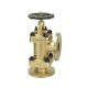 CI Feed Check Valve Angular Flange End SS Working Parts (Wj-Neta)